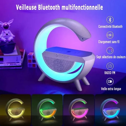 Enceinte Bluetooth Multifonctionnelle (PROMO -50%)